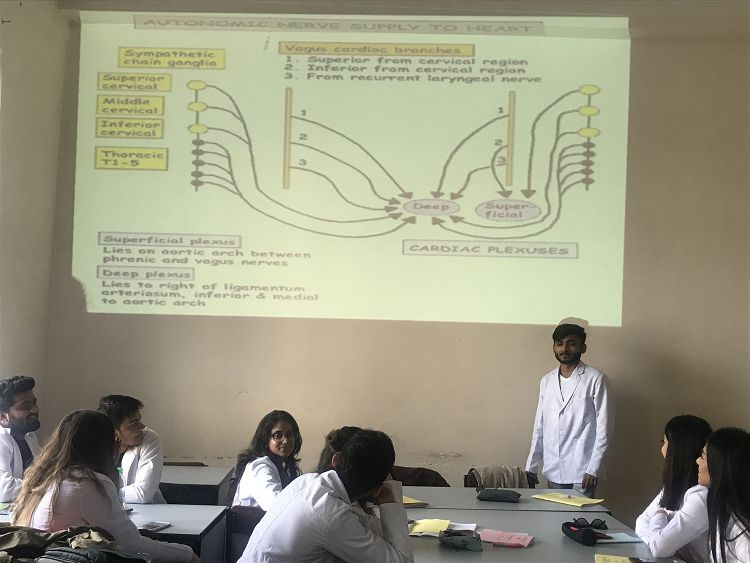 Seminar for English speaking students included topic of cardiovascular system